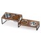 4 Bowl Large Capacity Elevated Dog Bowl Stand, Rustic Wood Grain Tilt Raised Stainless Steel Pet Feeding Dishes